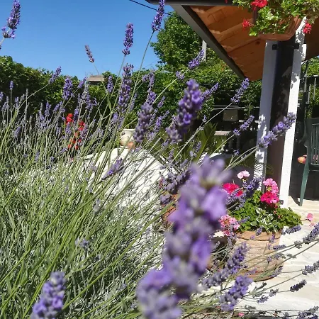 House Pelcic * Kostrena