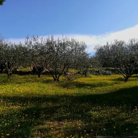 Apartment House Pelcic