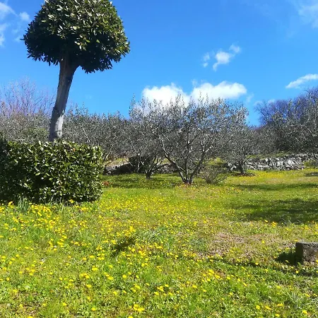 House Pelcic * קוסטרנה