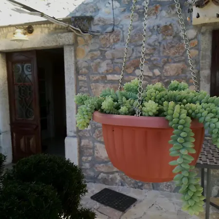 House Pelcic *