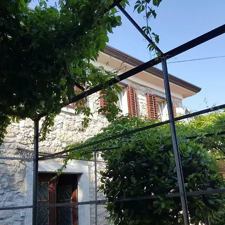 House Pelcic