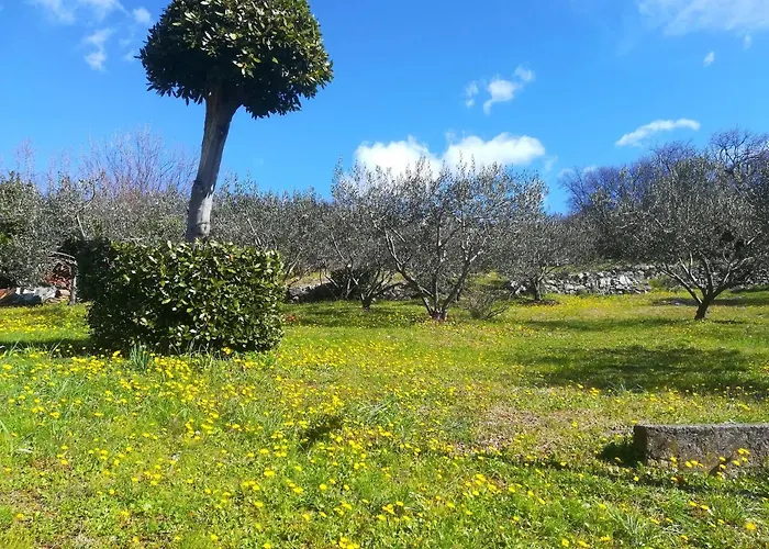 House Pelcic * Kostrena