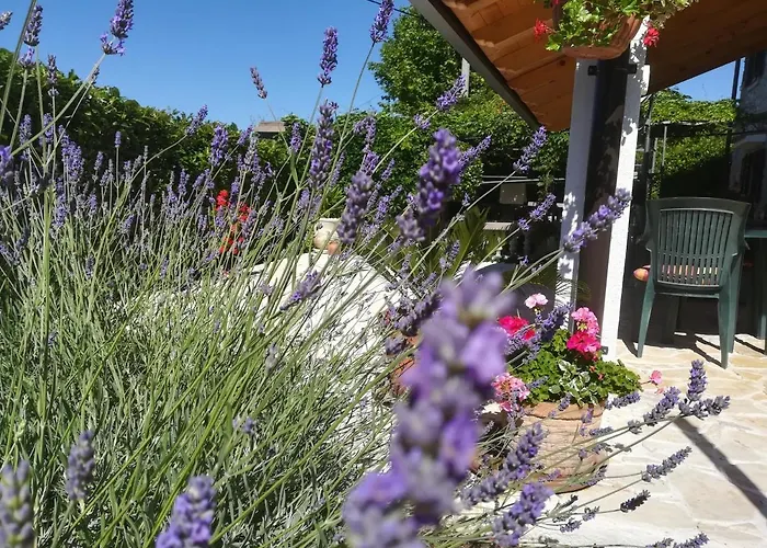 House Pelcic * Kostrena