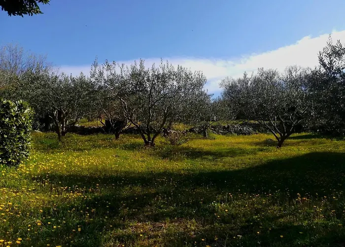 Apartament House Pelcic