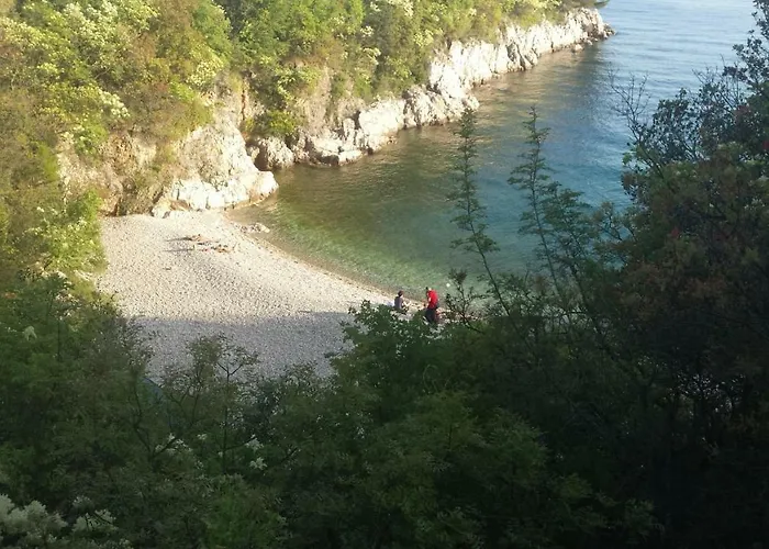 House Pelcic